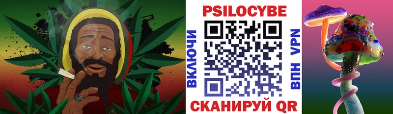 дарнет шоп  Тулун  Галлюциногенные грибы прущие грибы 