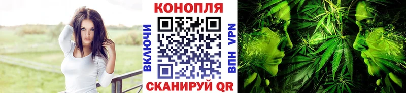 mega рабочий сайт  сайты даркнета телеграм  Бошки марихуана план  Тулун 